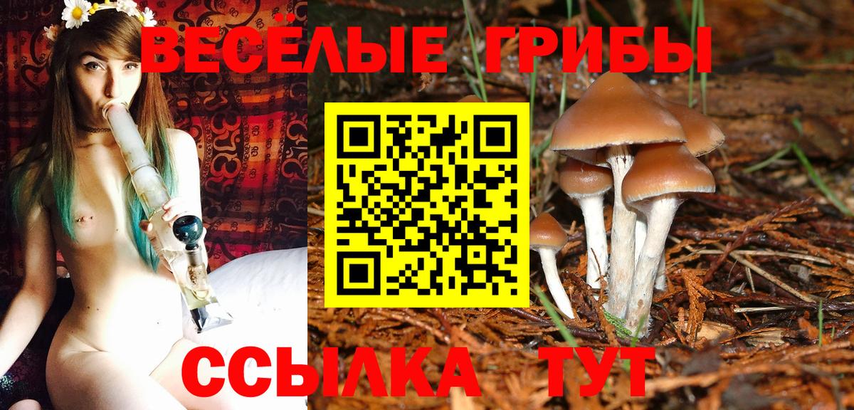 Псилоцибиновые грибы Psilocybine cubensis  Вход с VPN  Георгиевск 