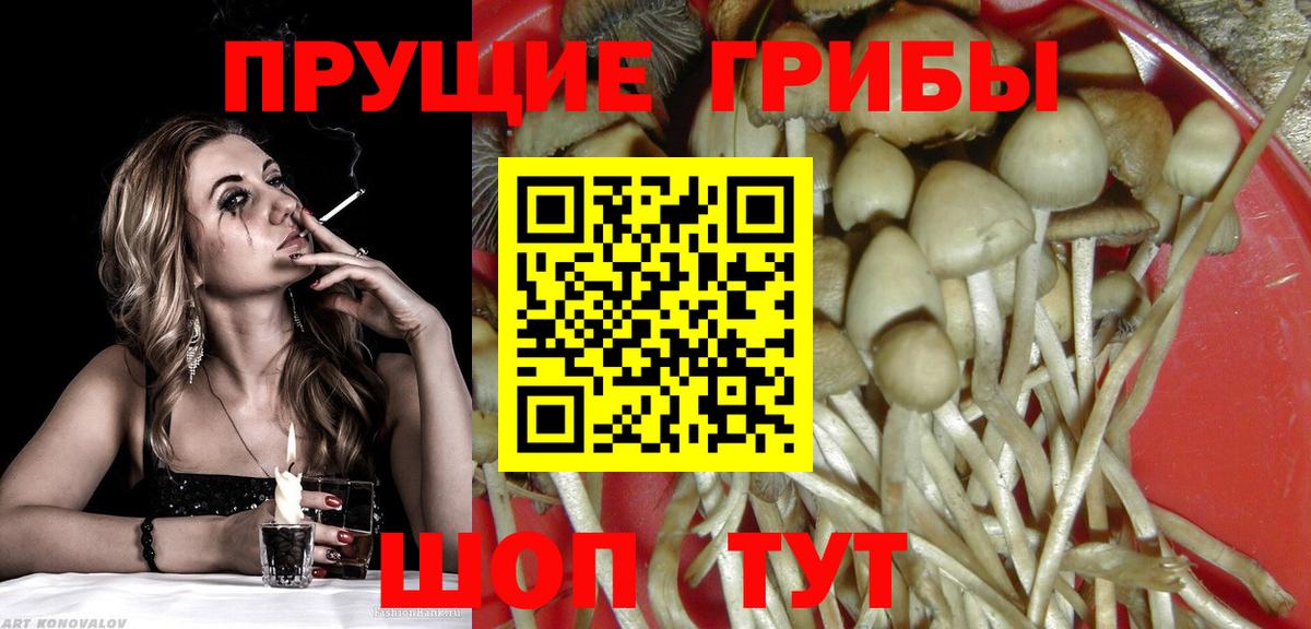 Галлюциногенные грибы MAGIC MUSHROOMS Георгиевск